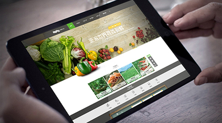 農(nóng)業(yè)類(lèi)商城網(wǎng)站建設(shè)開(kāi)發(fā)制作解決方案 打造一站式互聯(lián)網(wǎng)銷(xiāo)售平臺(tái)
